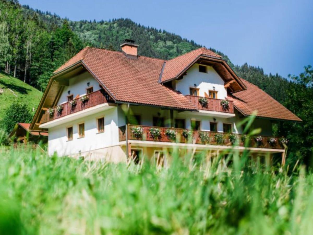 Na Logu - Farm Stay Ambroz Gregorc Solčava Exterior foto